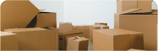 Verzending & Bestelling